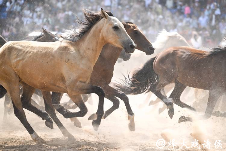赛事活动“万马奔腾”,消费引擎轰隆隆 赛事活动“万马奔腾”,消费引擎轰隆隆