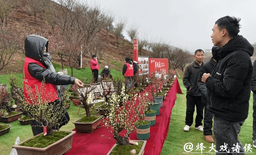 贵州梅园开园迎客 贵州梅园开园迎客