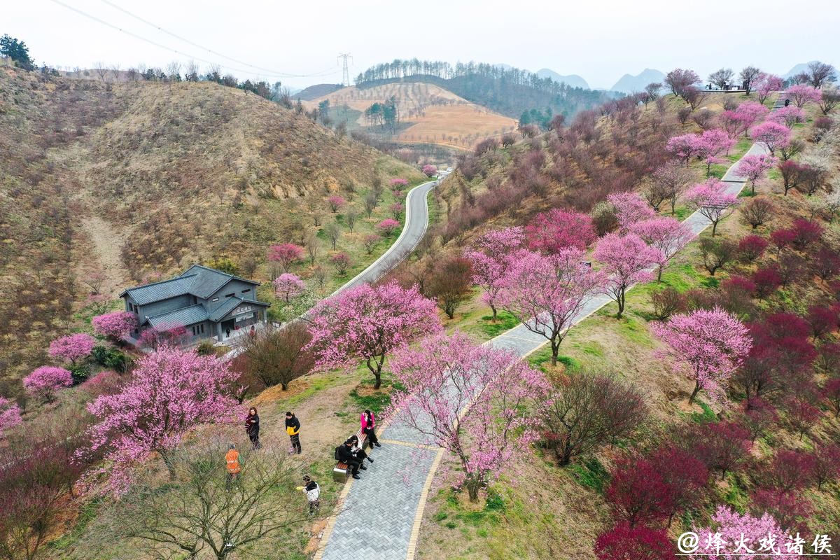 贵州梅园开园迎客 贵州梅园开园迎客