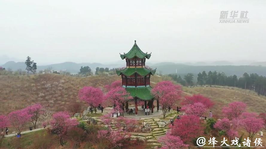 贵州梅园开园迎客 贵州梅园开园迎客